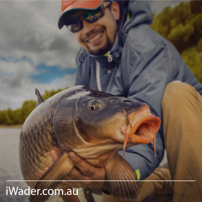 3 Ways to Immediately Start Catching Carp!